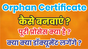 How To Get Orphan Certificate In Hindi Haryana [ Dowmload Form Format ]