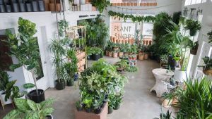 Plant Shop Name Ideas List